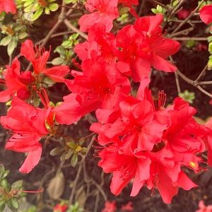 Meet your Posher, Jada